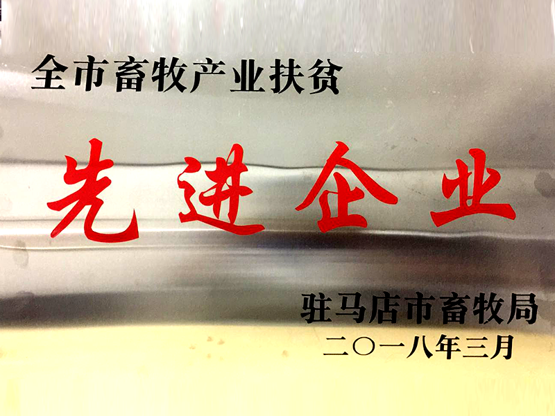 先進(jìn)企業(yè)