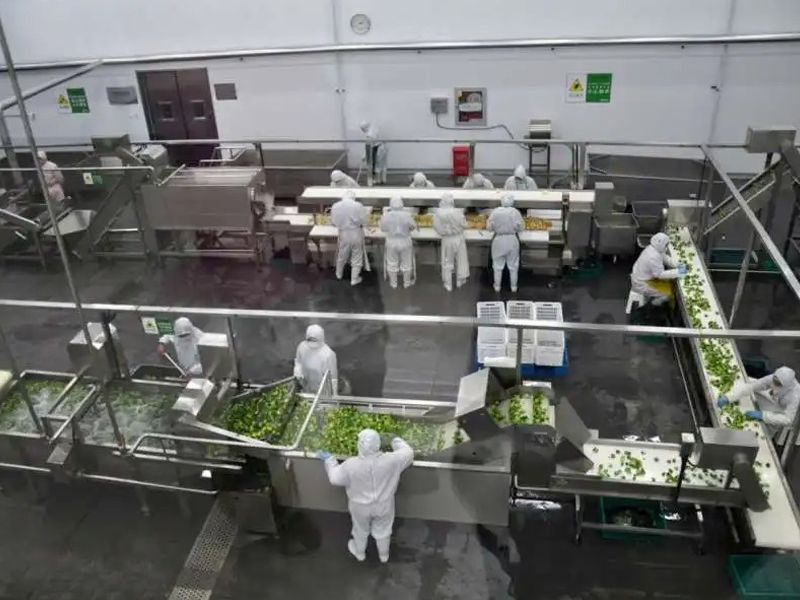 廠(chǎng)房展示