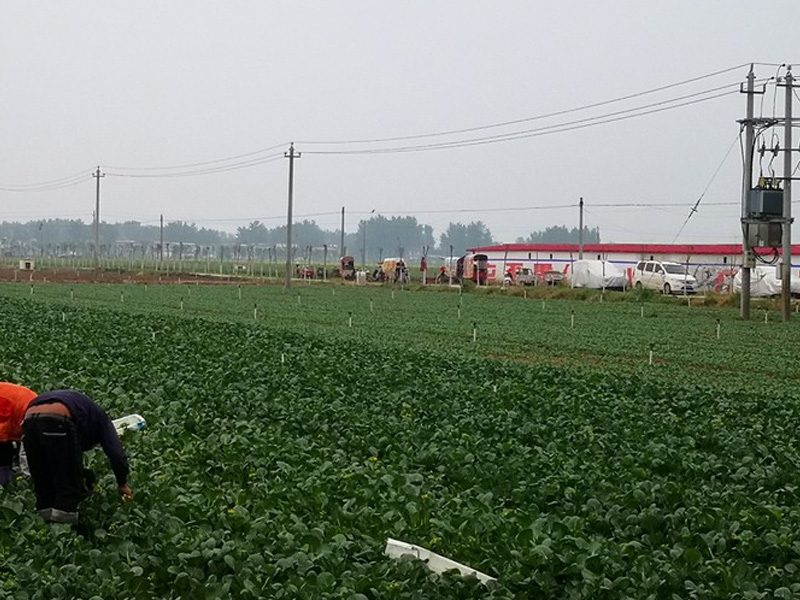 企業(yè)實(shí)力