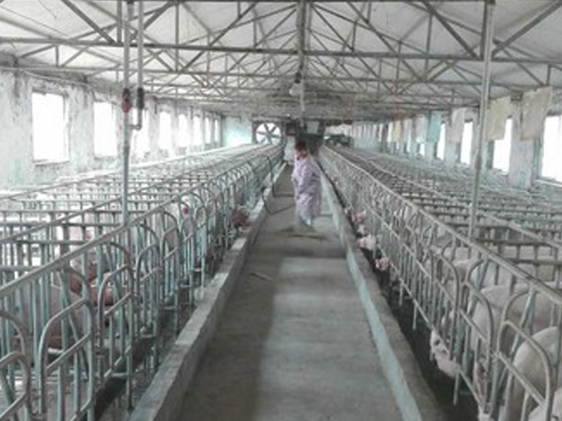 企業(yè)實(shí)力