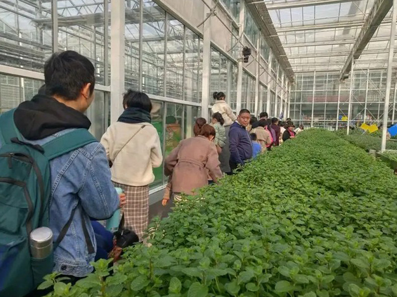 企業(yè)實(shí)力