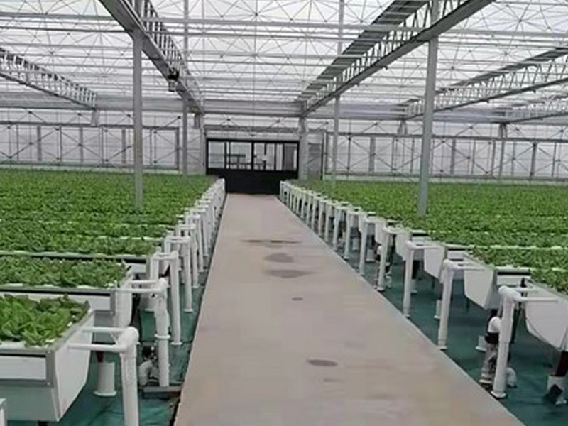 企業(yè)實(shí)力